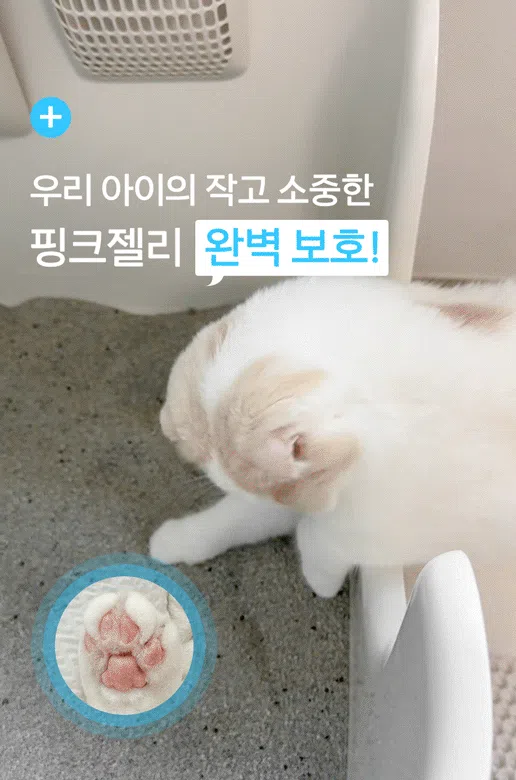 [NEW신상][무료배송] 펫바이블 더스트락 먼지없는 벤토나이트 모래 무향 12kg (6kg*2ea) 15번째