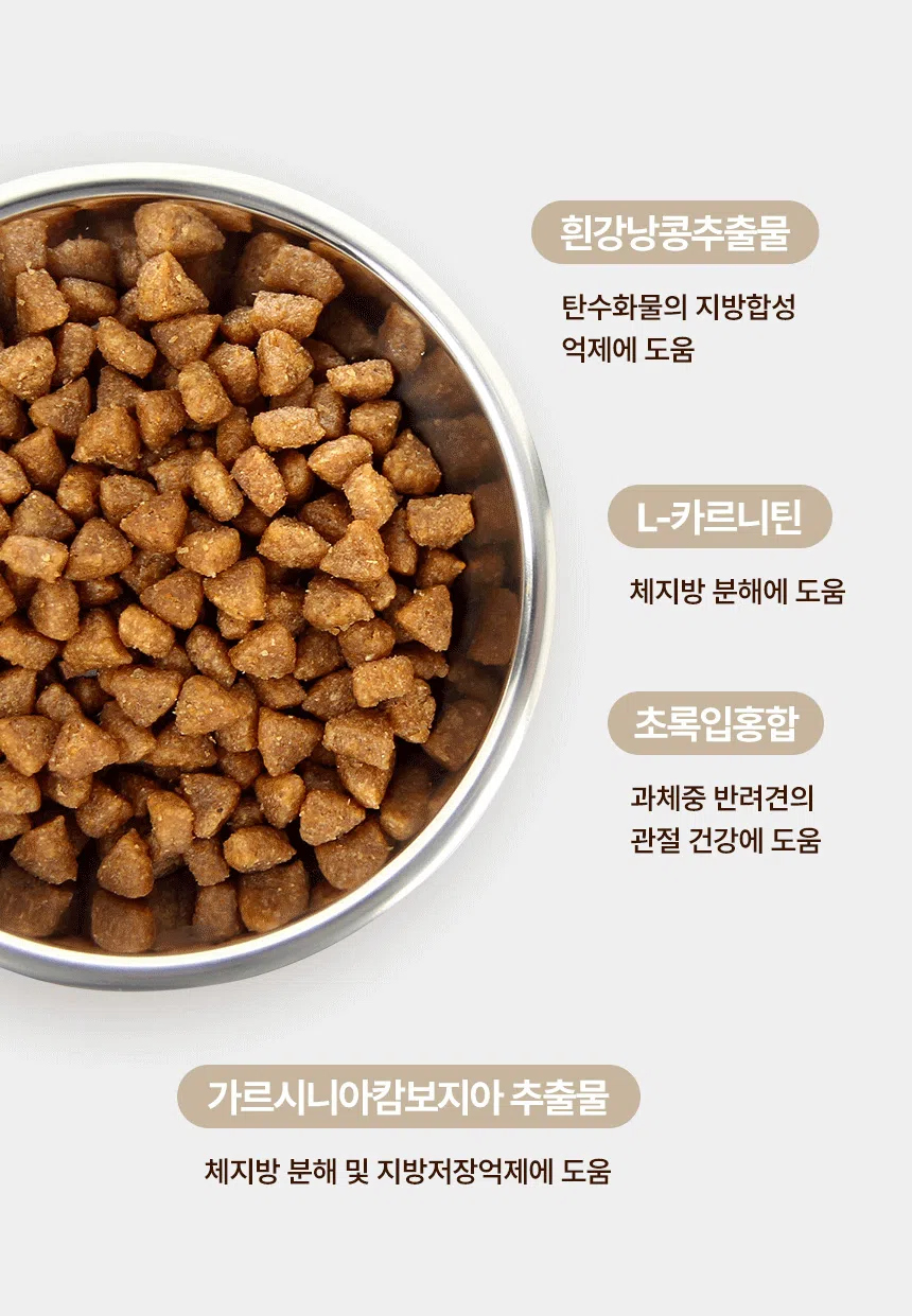 [NEW신상][무료배송] 데이스포 독 와이즈 라이트 1.2kg 9번째