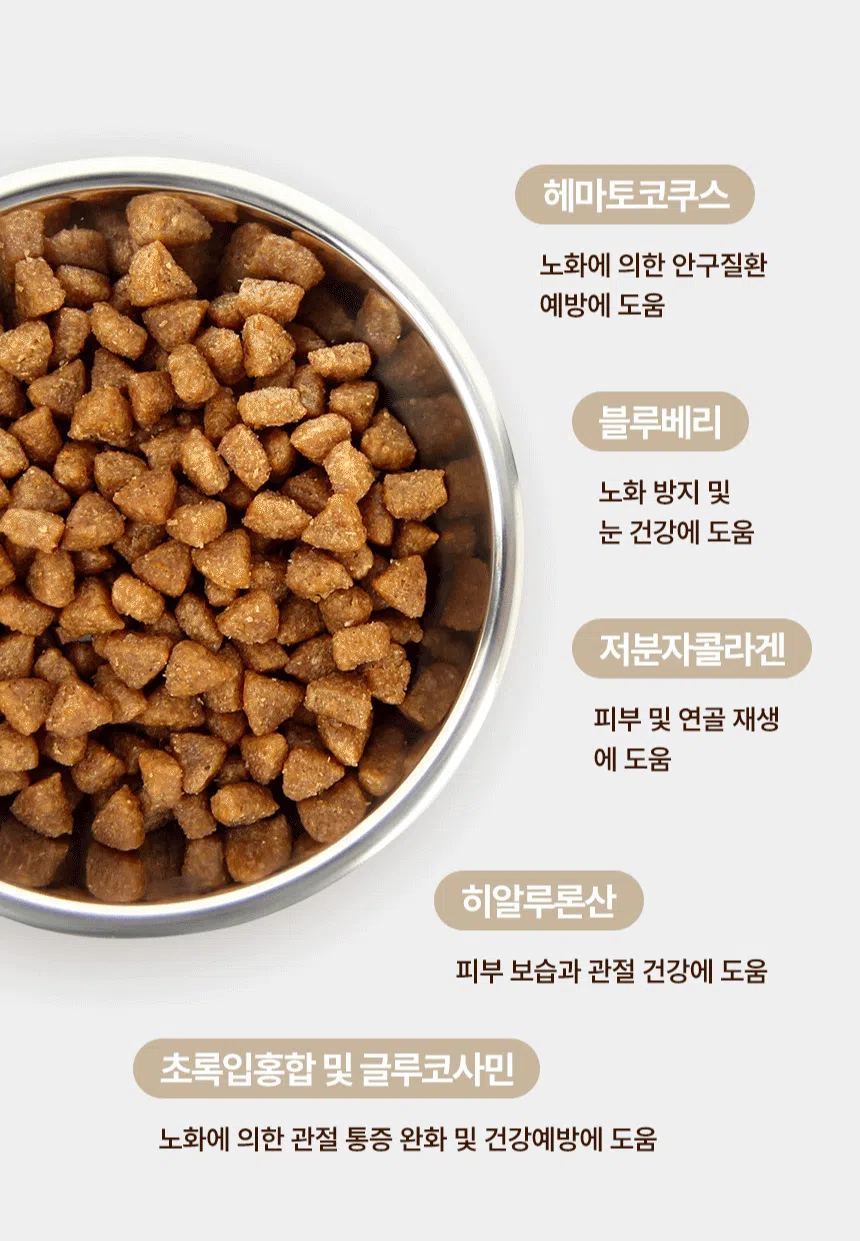[NEW신상][무료배송] 데이스포 독 와이즈 시니어 1.2kg 9번째
