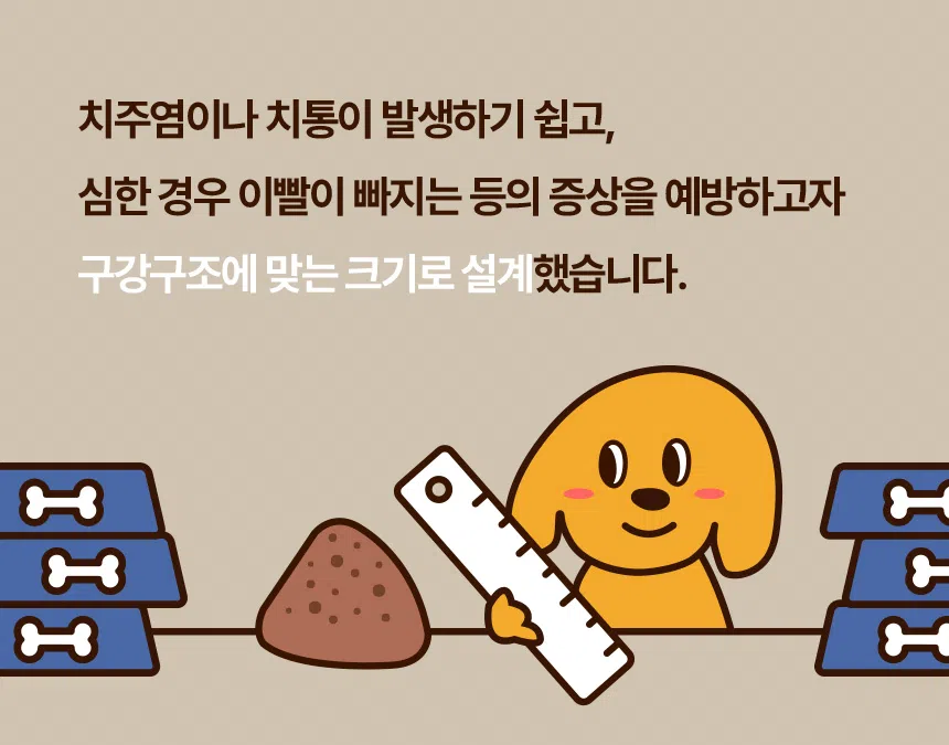 [NEW신상][무료배송] 데이스포 독 와이즈 시니어 1.2kg 14번째