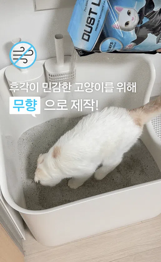 [NEW신상][무료배송] 펫바이블 더스트락 먼지없는 벤토나이트 모래 무향 12kg (6kg*2ea) 22번째