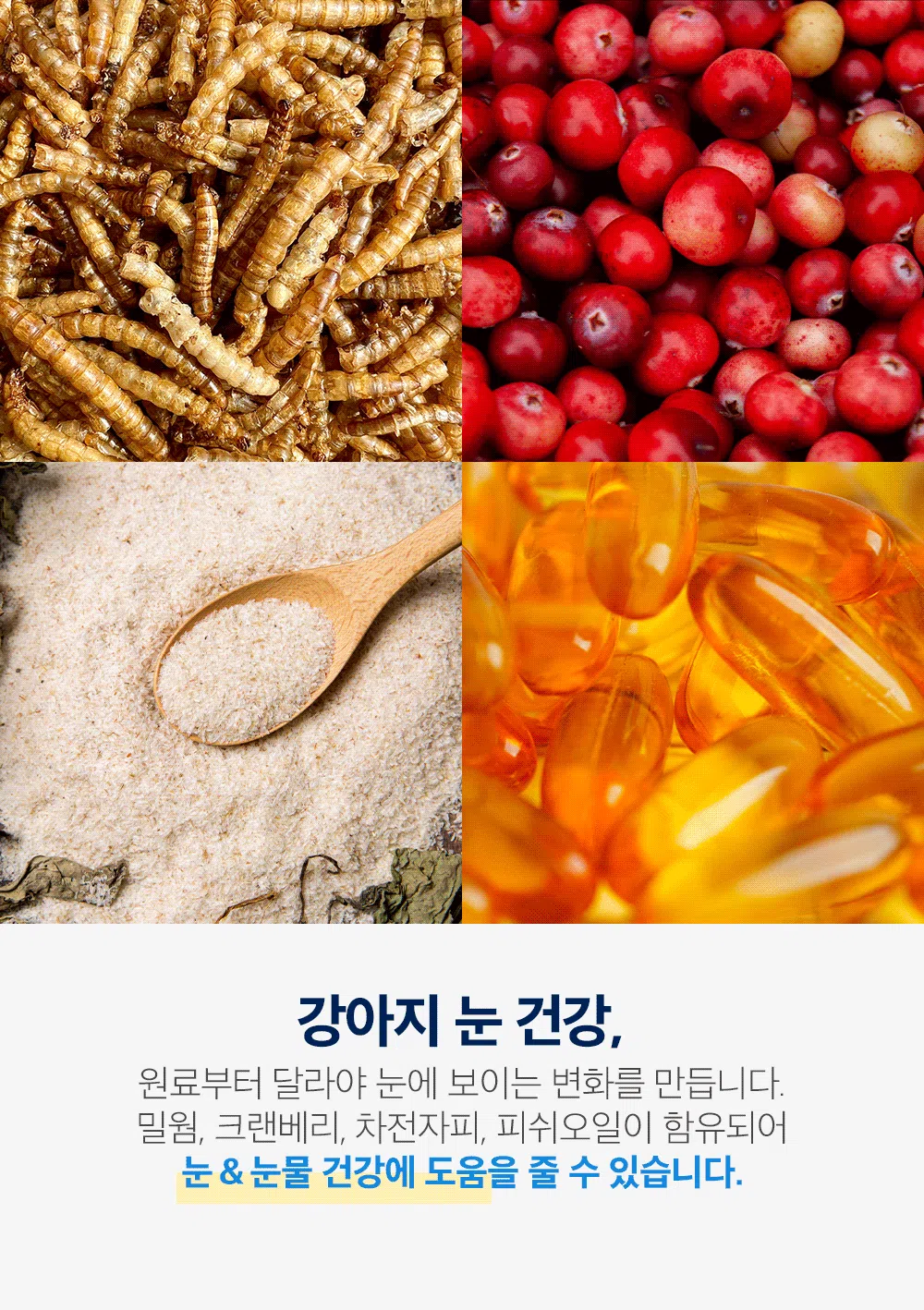 [NEW신상][사료샘플] 인디고 독 면역&하이포알러제닉 인섹트 40g 2번째