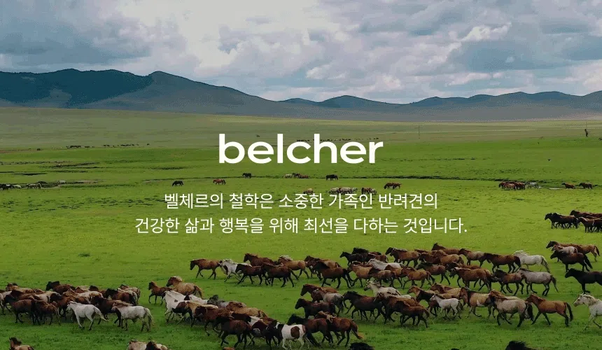 [NEW신상][무료배송] 벨체르 프리미엄 저알러지 양고기 육포 50g 1번째