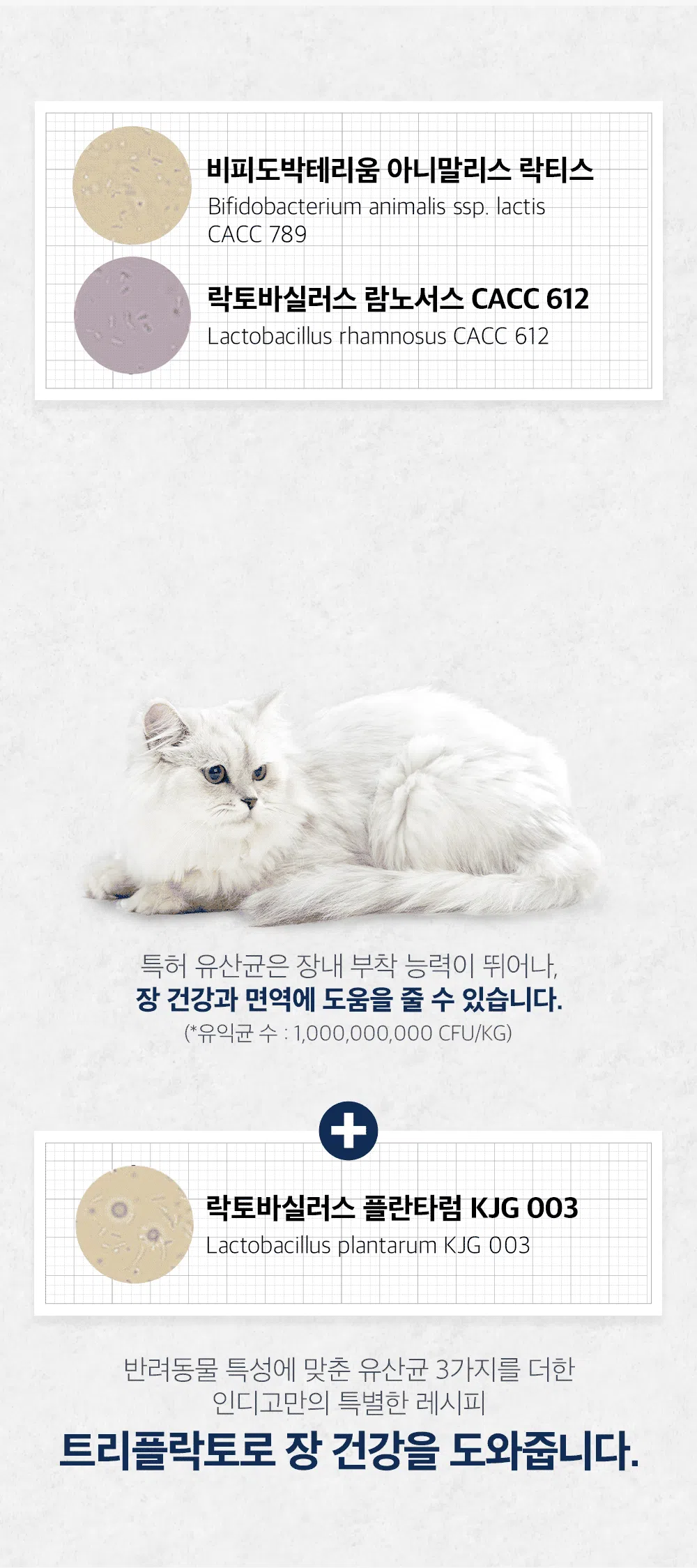 [NEW신상]인디고 캣 면역&헤어볼 6kg 2번째