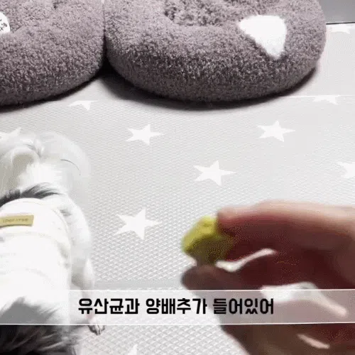 [NEW신상][무료배송] 뉴알엑스 장특공대 당근 100g 1번째