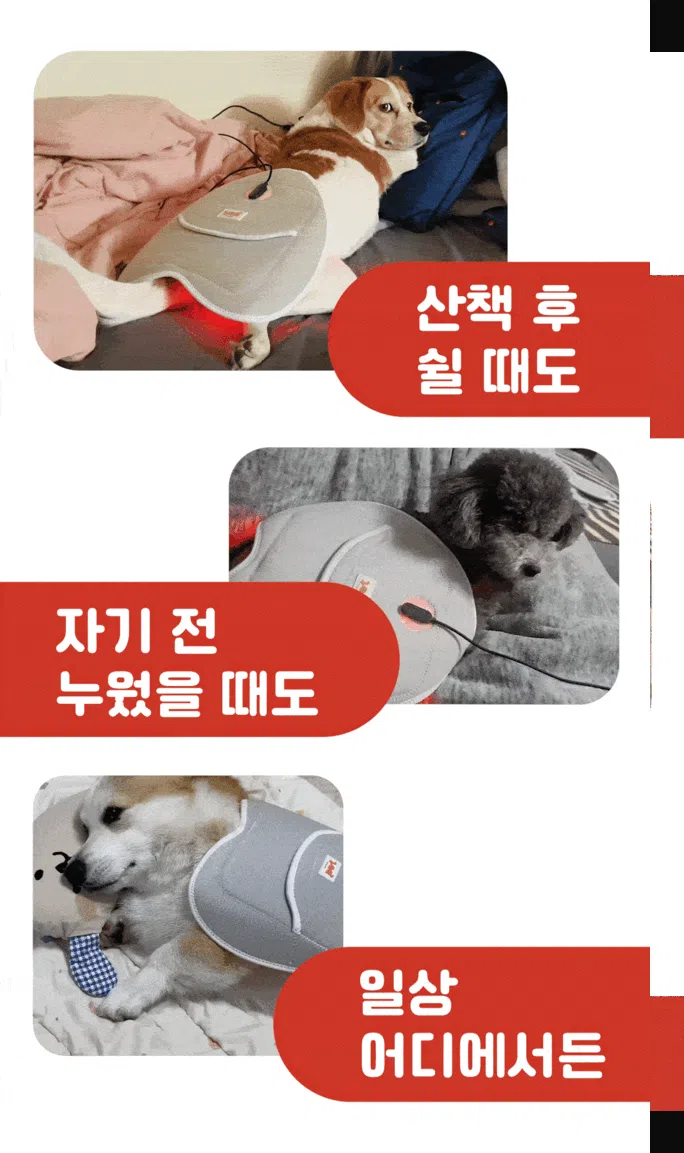 [무료배송] 시리어스펫 독 슬개골 따땃패드 3번째