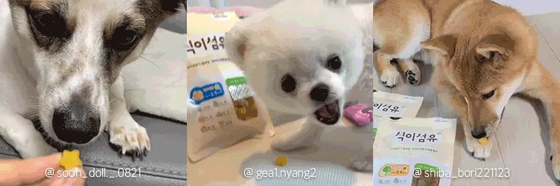 [NEW신상][무료배송] 뉴알엑스 식이섬유 양배추 100g 1번째