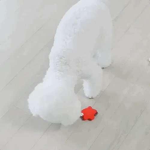 [NEW신상][무료배송] 뉴알엑스 독 패브릭 로프 장난감 2번째