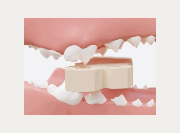[NEW신상][무료배송] 네이처트레이스 독 스파이더웹 덴탈바 오리지널 20g*12ea 33번째