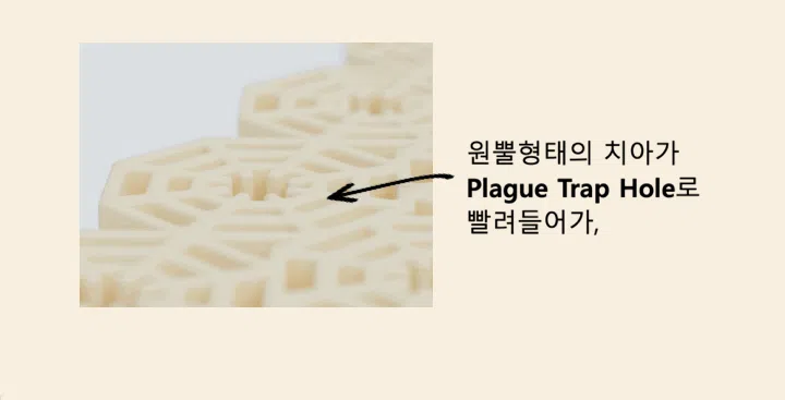 [NEW신상][무료배송] 네이처트레이스 독 스파이더웹 덴탈바 오리지널 20g*12ea 32번째