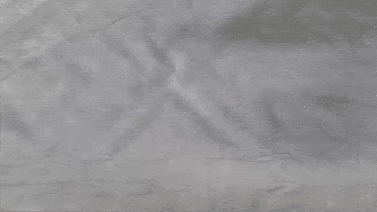[NEW신상][무료배송] 펫앤마마 대형견 에그폼 L자형 목베개 사각방석 2종 (그레이/진그레이) L~2XL 10번째