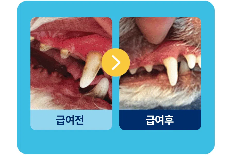 프로덴 독 플라그오프 덴탈케어본 미니 블루베리&혼합야채 340g 2번째