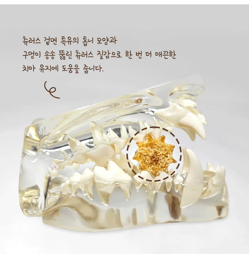 [NEW신상][무료배송] 데이스포 독 우리아이 황태츄러스 M 150g 10번째