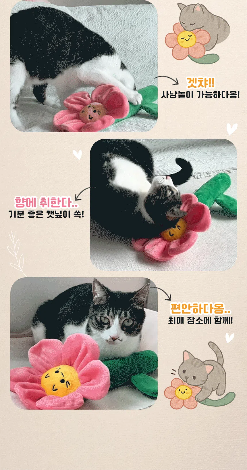 펫모닝 꽃이피어냥 3번째