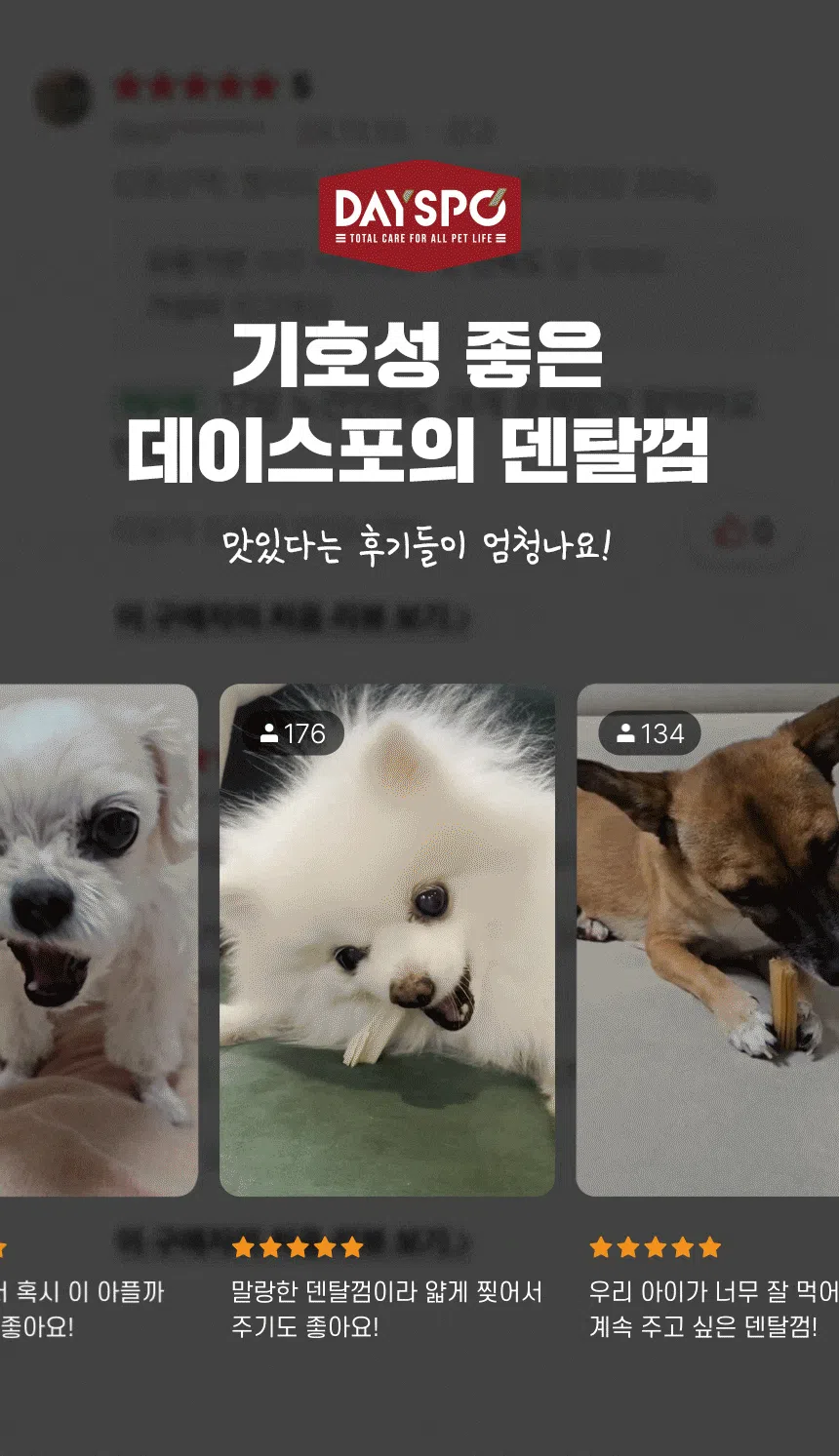 [NEW신상][무료배송] 데이스포 독 우리아이 황태츄러스 S 150g 3번째