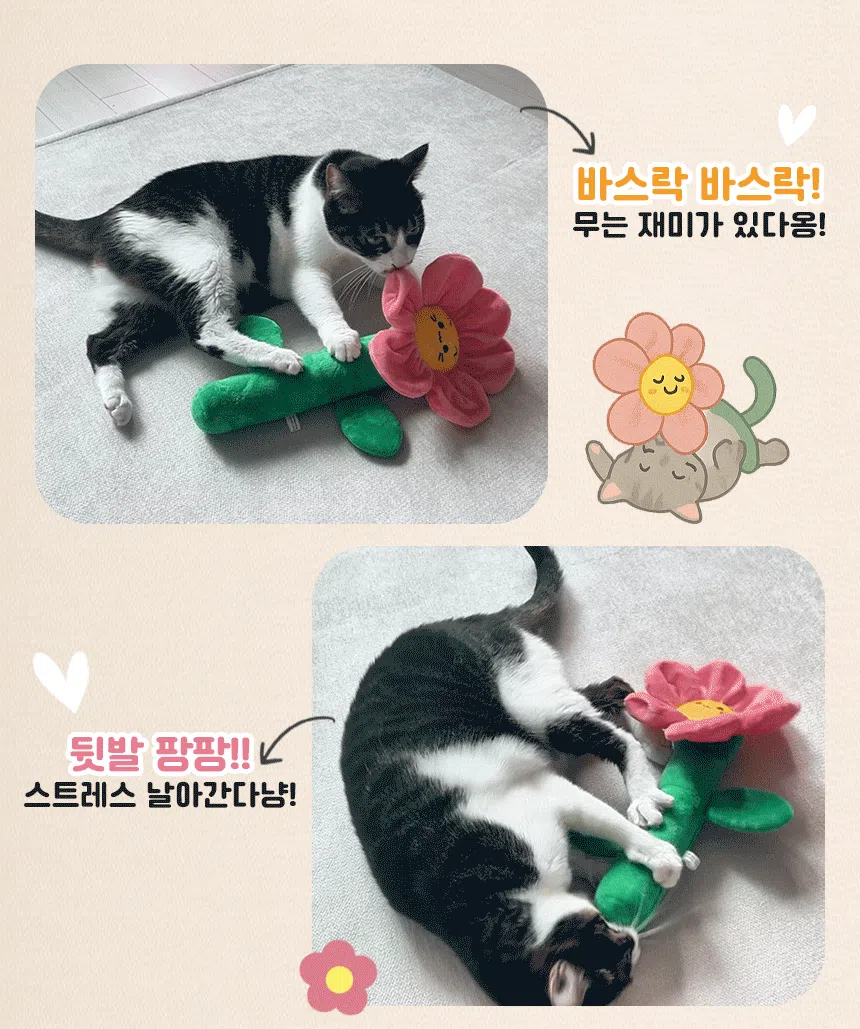 펫모닝 꽃이피어냥 2번째