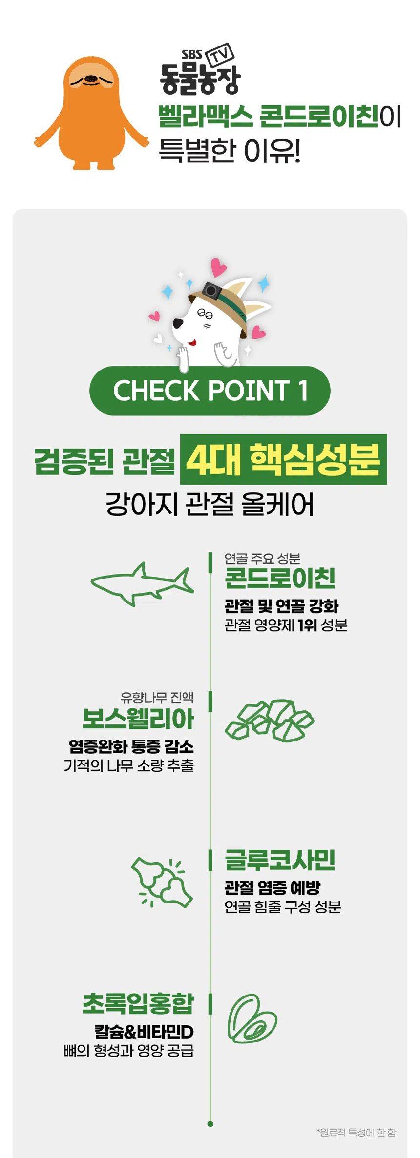[브랜드전]벨라맥스 SBS TV 동물농장 콘드로이친 강아지 관절 슬개골 영양제 150g 10번째