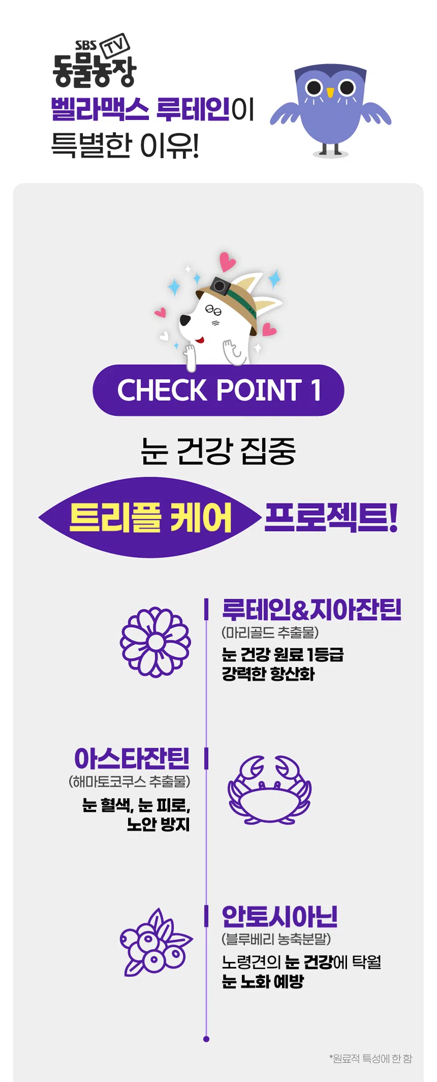 [브랜드전][무료배송] SBS TV 동물농장 수의사 벨라맥스 트릿 2종 세트 관절+눈 영양제 39번째