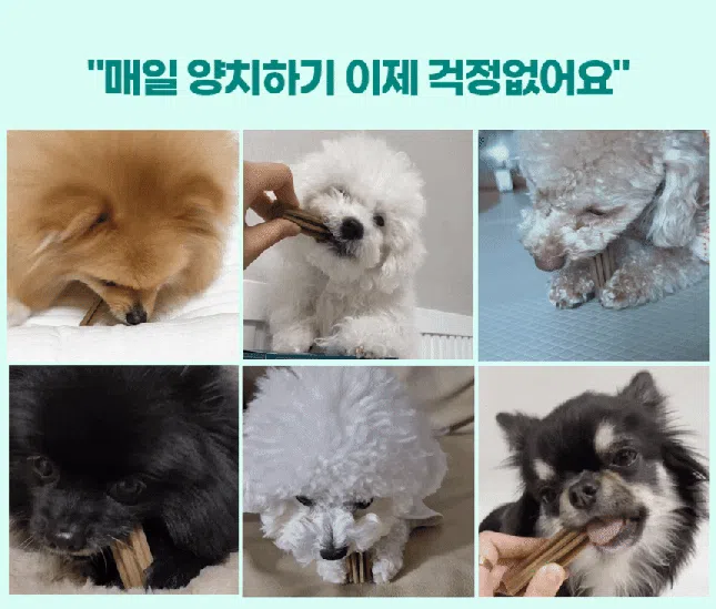 [브랜드전]벨라맥스 SBS TV 동물농장 덴탈껌 강아지 치석 양치 입냄새 제거 160g 6번째