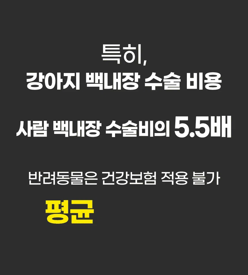 [브랜드전][무료배송] SBS TV 동물농장 수의사 벨라맥스 트릿 2종 세트 관절+눈 영양제 37번째
