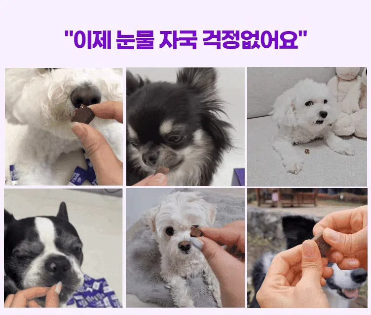 [브랜드전][무료배송] SBS TV 동물농장 수의사 벨라맥스 트릿 2종 세트 관절+눈 영양제 34번째
