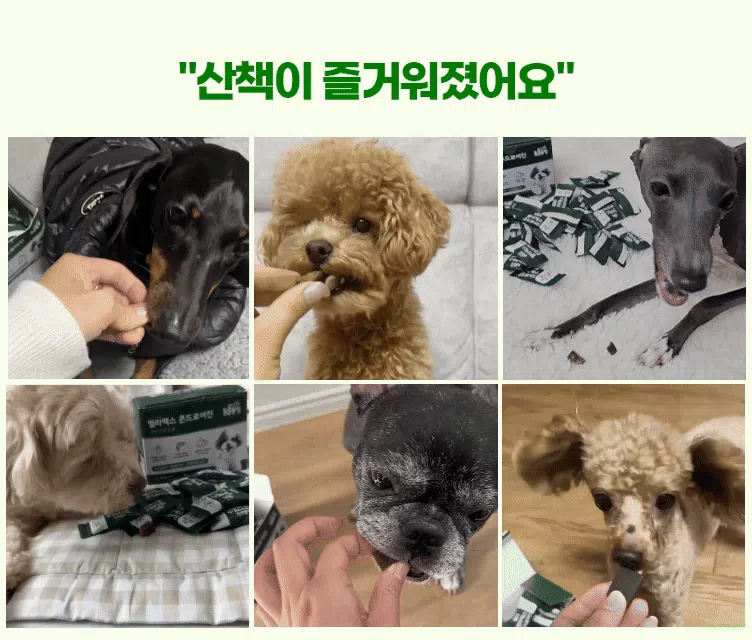 [브랜드전][무료배송] SBS TV 동물농장 수의사 벨라맥스 트릿 2종 세트 관절+눈 영양제 7번째