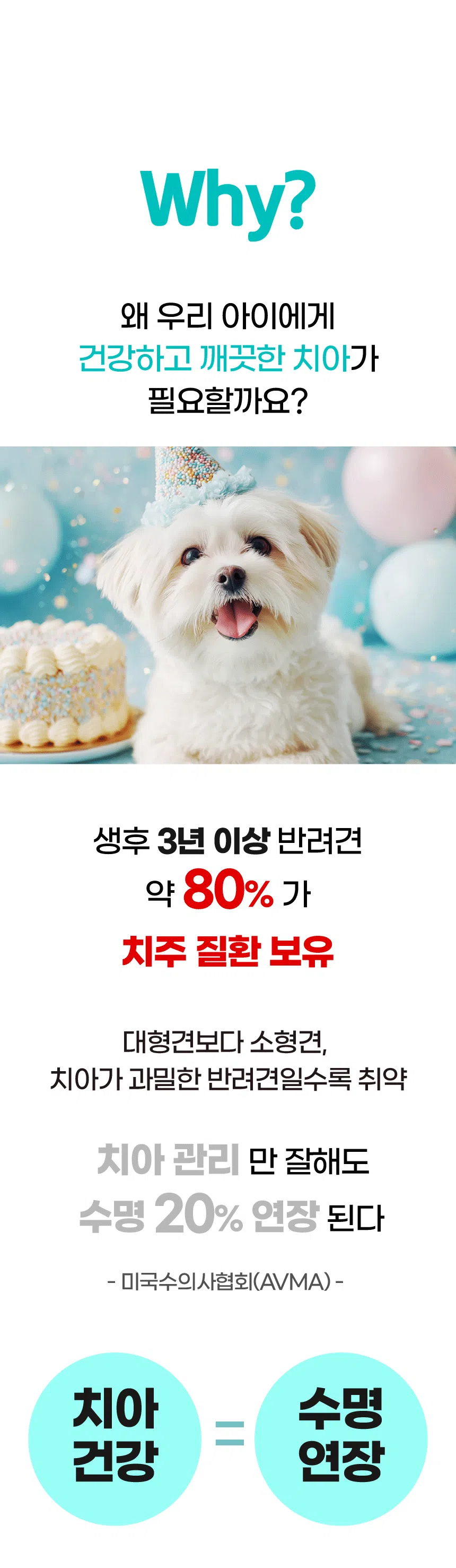 [브랜드전]벨라맥스 SBS TV 동물농장 덴탈껌 강아지 치석 양치 입냄새 제거 160g 2번째