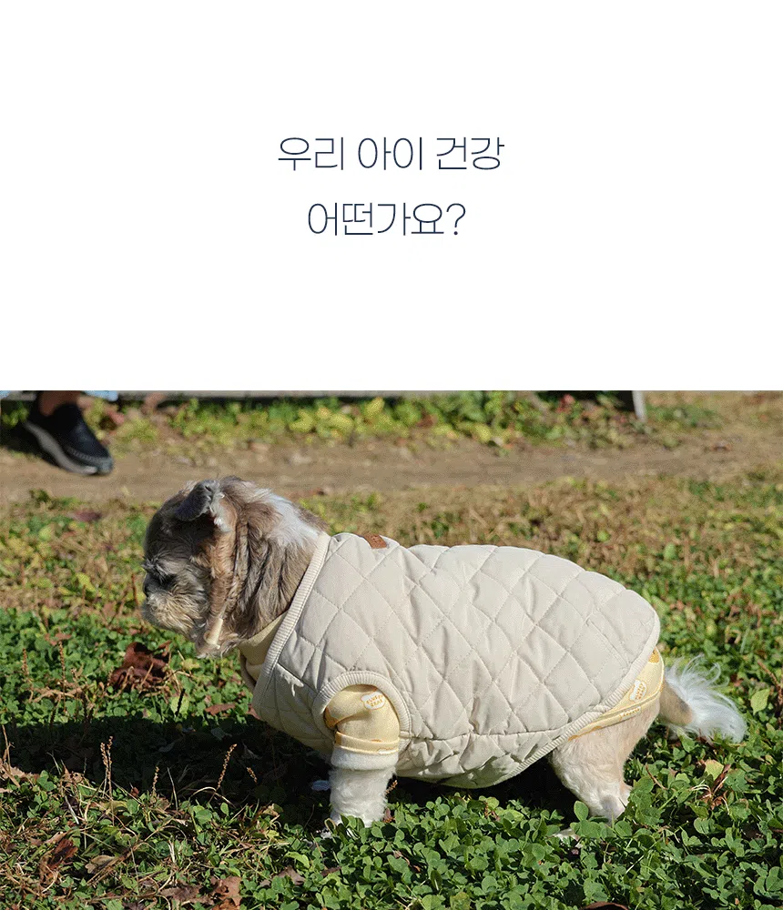 [NEW신상][무료배송] 이프애니멀 튼튼육첩 활력영양 108g (30포) 11번째