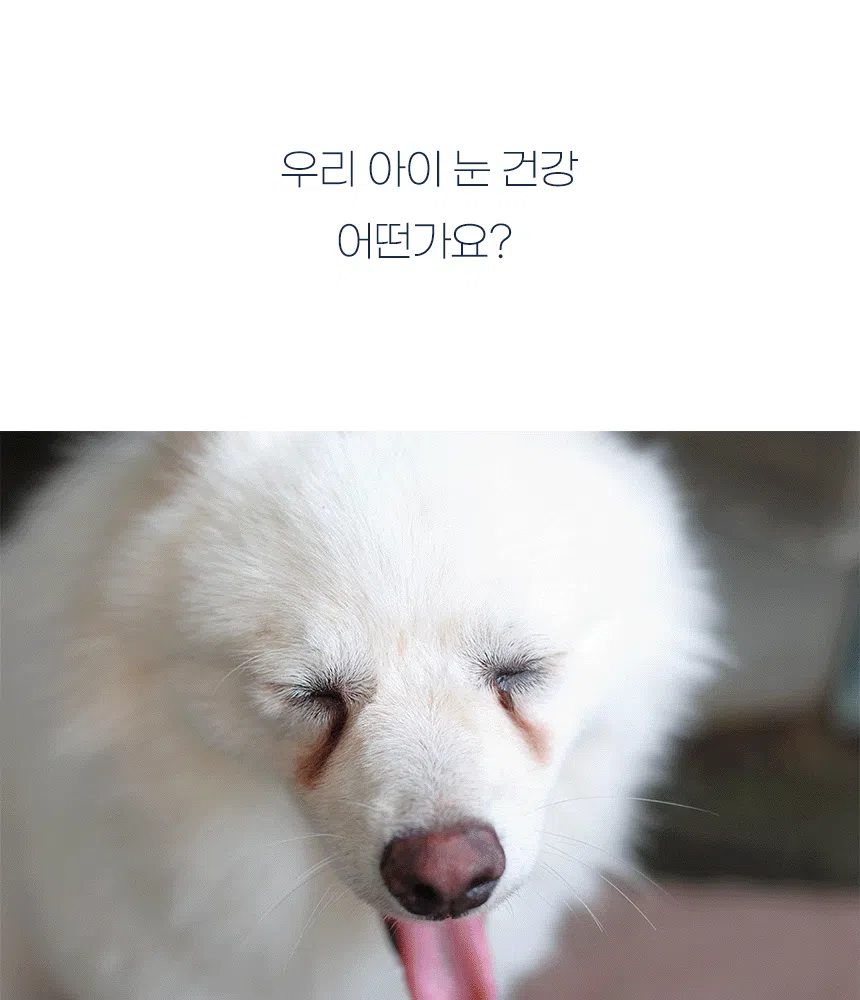 [NEW신상][무료배송] 이프애니멀 튼튼육첩 눈눈물 105g (30포) 11번째