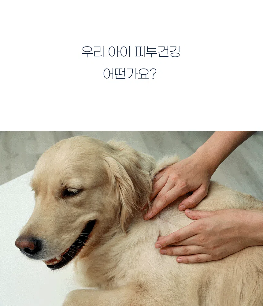 [NEW신상][무료배송] 이프애니멀 튼튼육첩 피부모질 90g (30포) 11번째