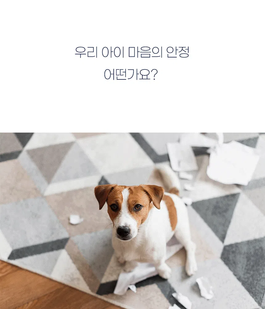[NEW신상][무료배송] 이프애니멀 튼튼육첩 심신안정 108g (30포) 11번째