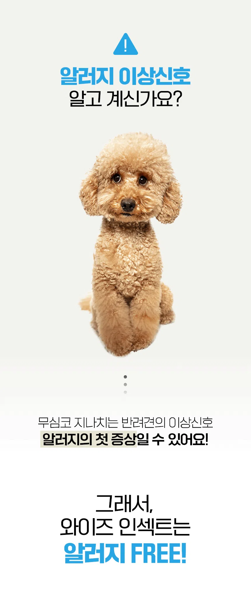 [NEW신상][무료배송] 데이스포 독 와이즈 인섹트 말티즈 1.5kg 1번째