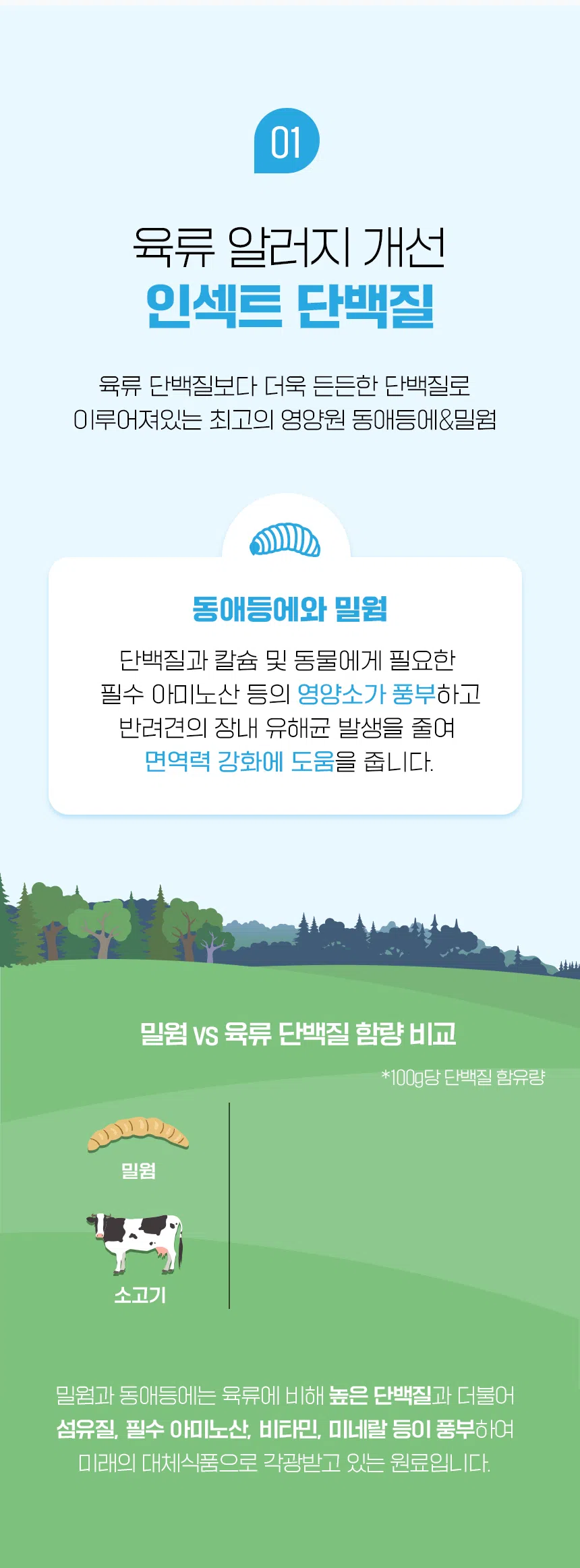 [NEW신상][무료배송] 데이스포 독 와이즈 인섹트 말티즈 1.5kg 3번째