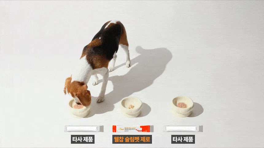 [NEW신상][무료배송] 웰찹 슬림펫 제로 체지방 케어 다이어트 보조제 30스틱 16번째
