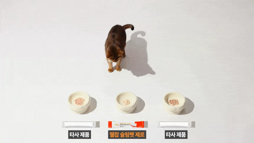 [NEW신상][무료배송] 웰찹 슬림펫 제로 체지방 케어 다이어트 보조제 30스틱 15번째