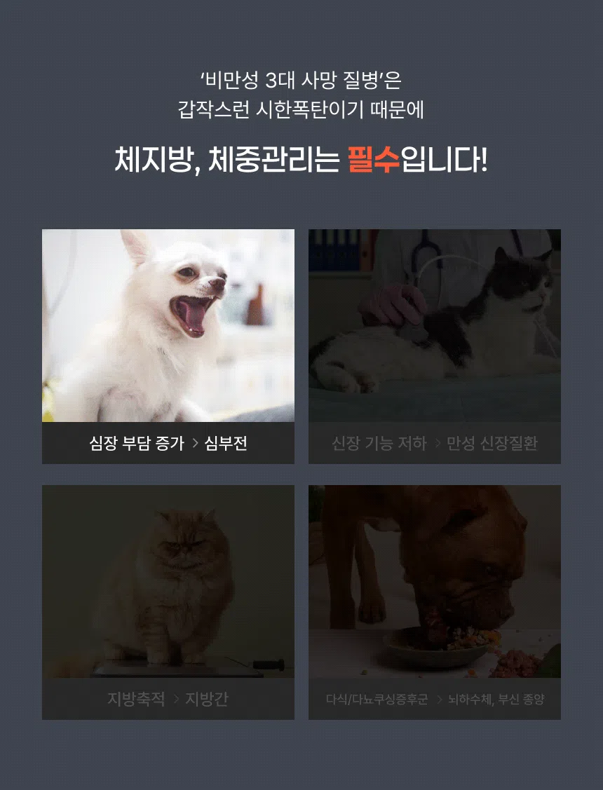 [NEW신상][무료배송] 웰찹 슬림펫 제로 체지방 케어 다이어트 보조제 30스틱 3번째