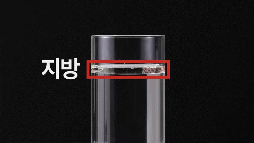 [NEW신상][무료배송] 웰찹 슬림펫 제로 체지방 케어 다이어트 보조제 30스틱 12번째