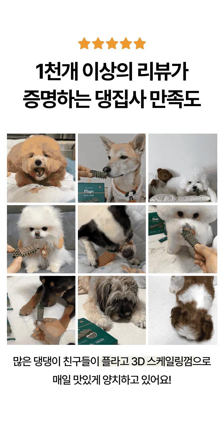 [NEW신상]플라고 3D 스케일링 껌 S 7개입 2번째