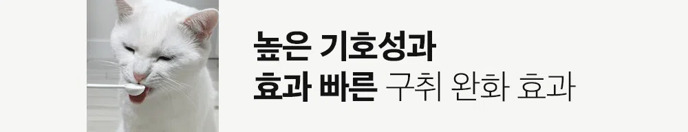 조공 이지 케어 데일리 프레쉬 30g 11번째