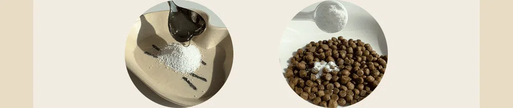 조공 이지 케어 데일리 프레쉬 30g 32번째