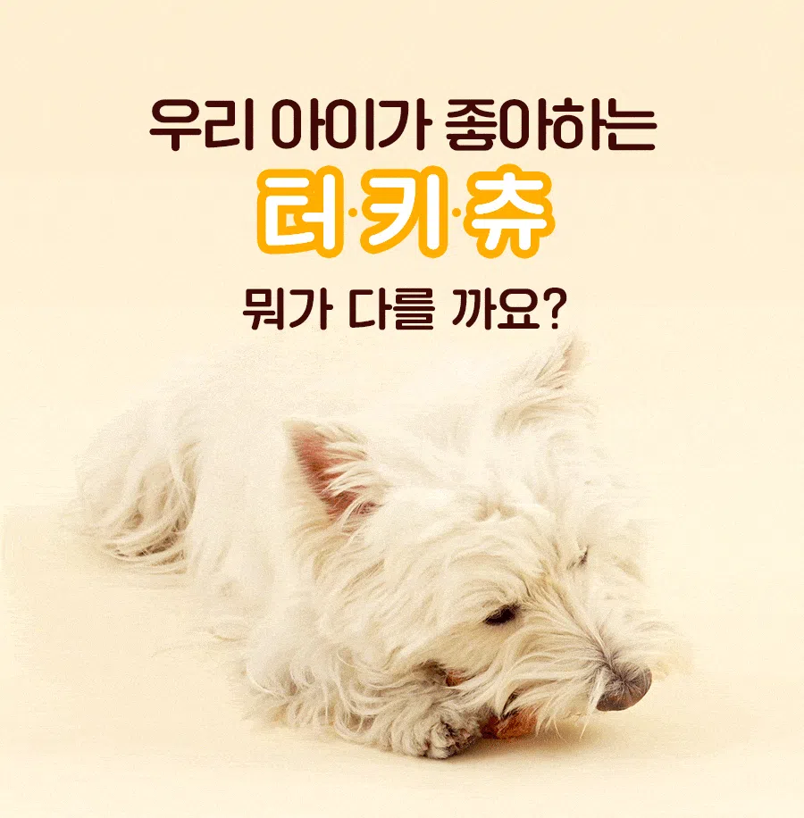 [NEW신상]잇츄 츄잇 꿀바른 터키츄 본 10g 1번째