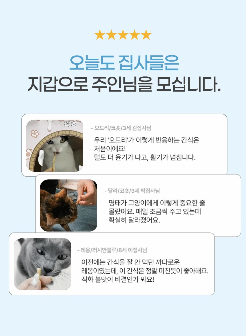 [NEW신상]코코브라운 맛있게 구운 프리미엄 육포 맛있꾸냥 명태와 연어 50g 2번째