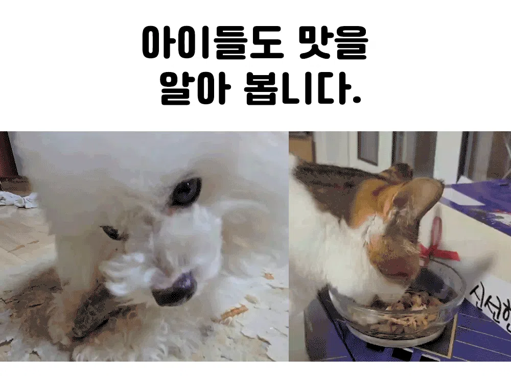 [NEW신상][무료배송] 킹멍냥 국내산 프리미엄 참조기 동결건조 트릿 2미 2번째