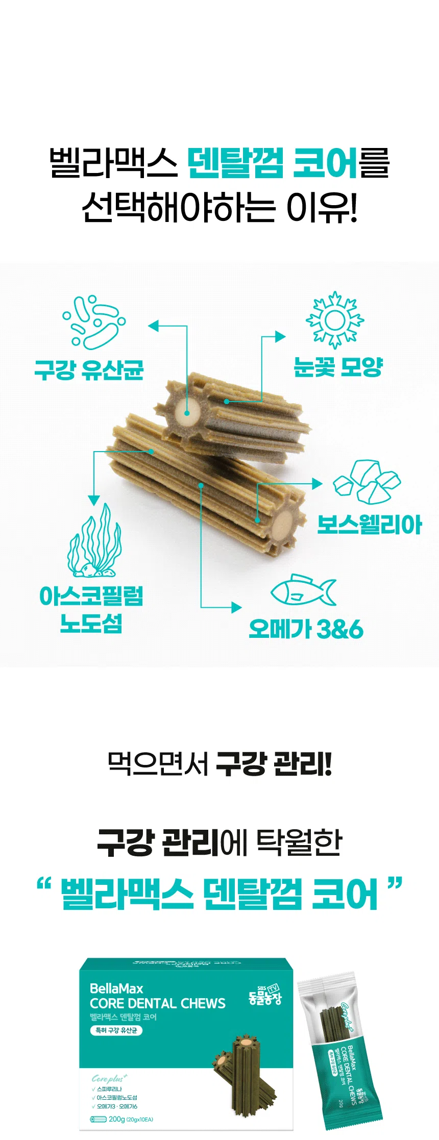 [NEW신상][무료배송] 벨라맥스 SBS TV 동물농장 수의사 강아지 덴탈껌 코어 구강 유산균 12번째