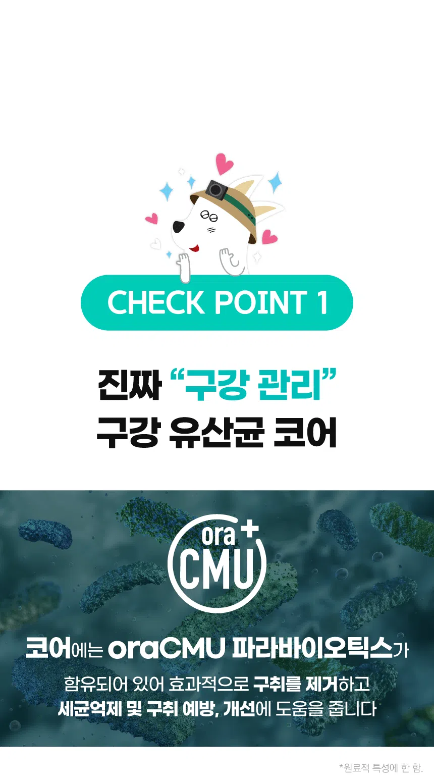 [NEW신상][무료배송] 벨라맥스 SBS TV 동물농장 수의사 강아지 덴탈껌 코어 구강 유산균 13번째