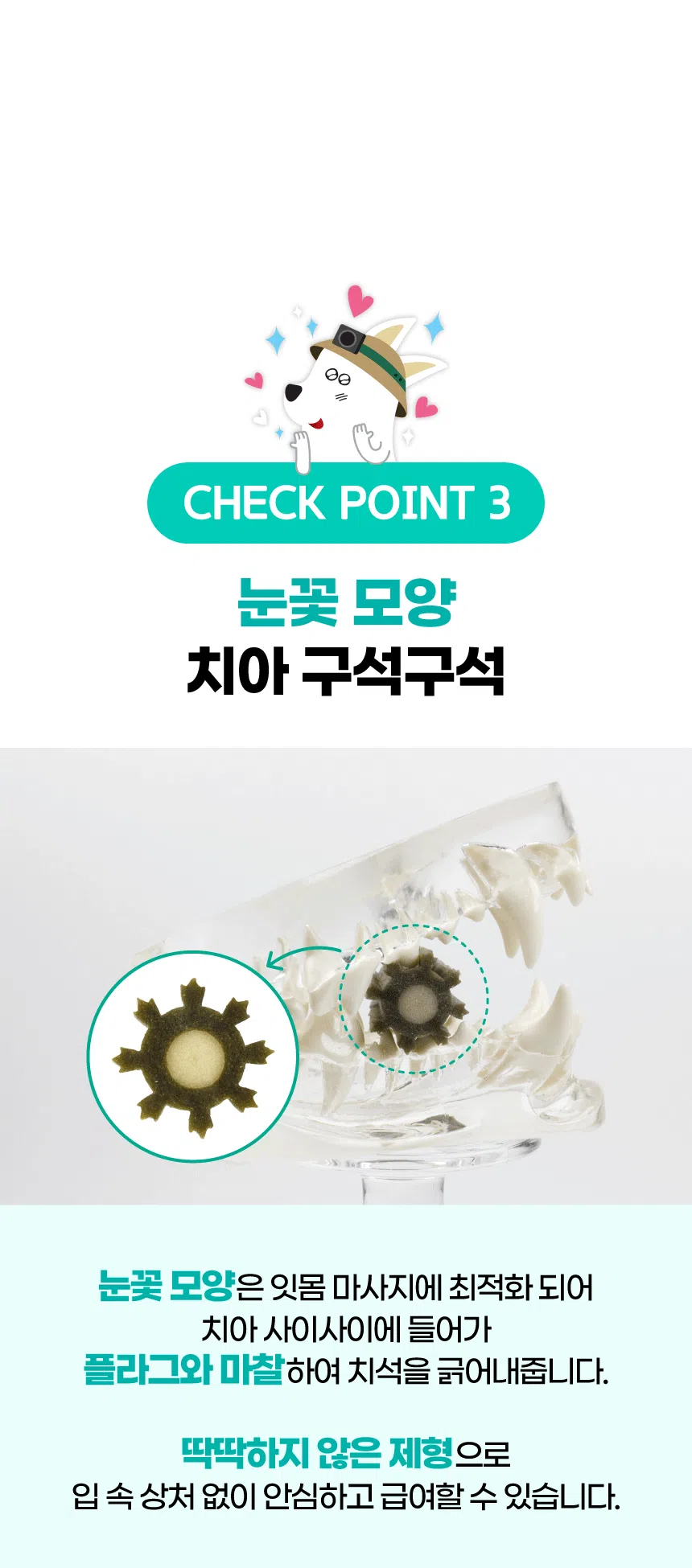 [NEW신상][무료배송] 벨라맥스 SBS TV 동물농장 수의사 강아지 덴탈껌 코어 구강 유산균 20번째