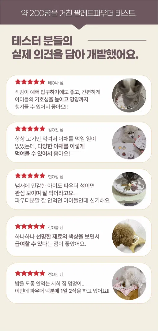 [NEW신상][무료배송] 페네핏 팔레트파우더 6종 4g*15개입 4번째