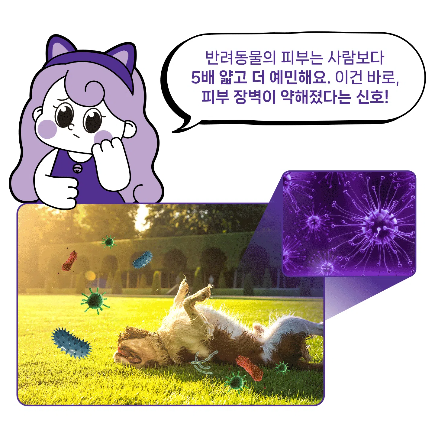 [NEW신상][무료배송] 헬시얌 스킨 프로바이오틱스 30포 6번째