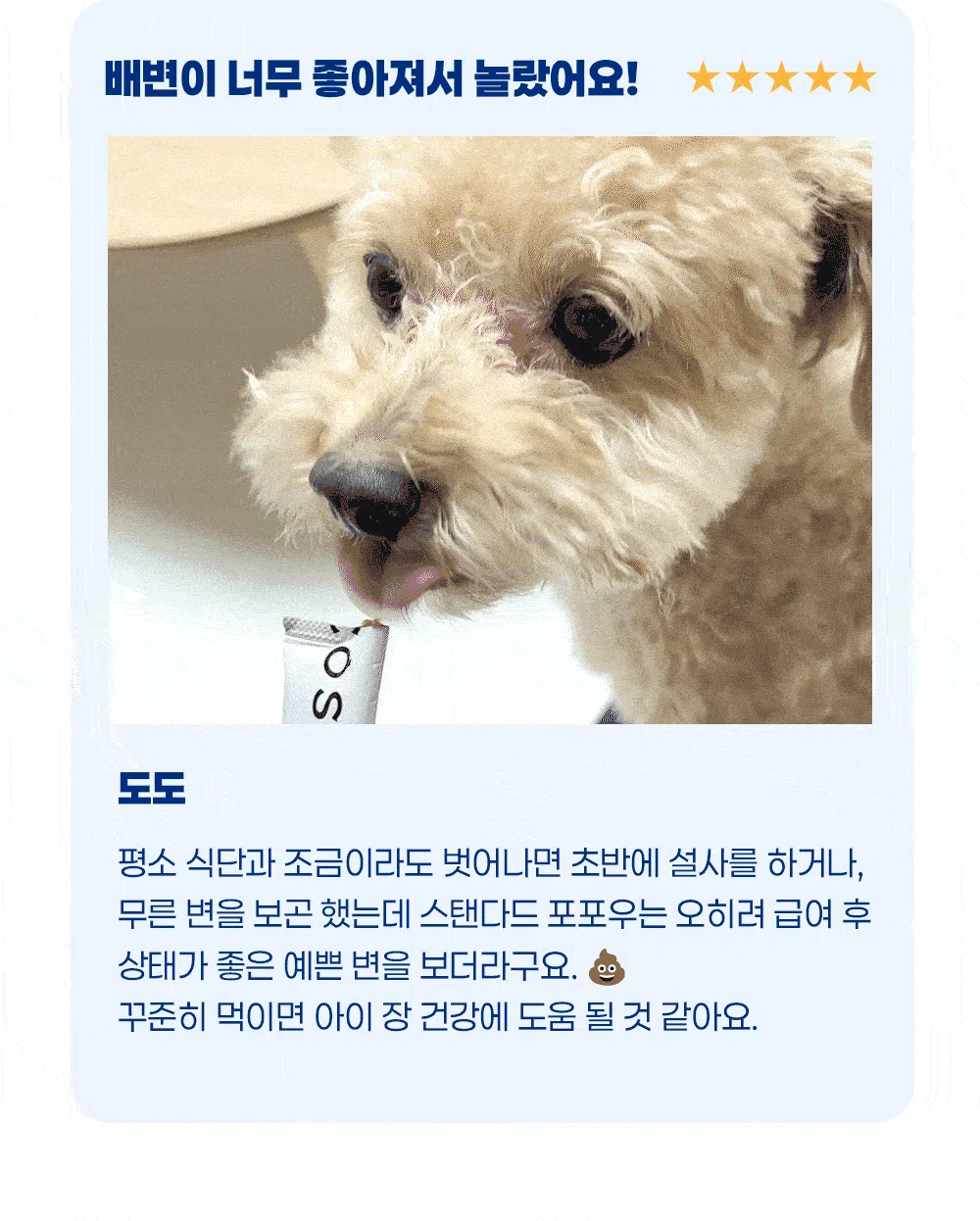 [NEW신상]스탠다드포포우 독 종합영양제 10g*10개입 4번째