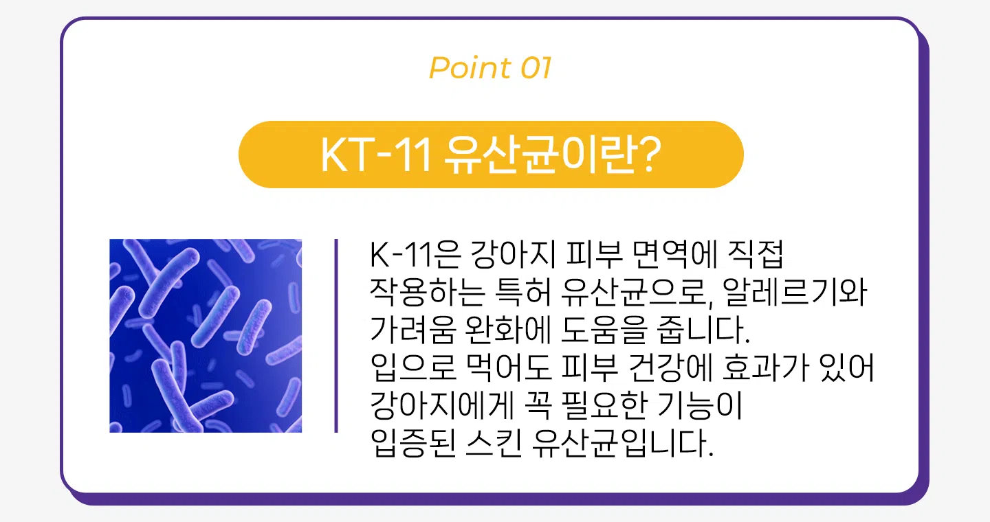 [NEW신상][무료배송] 헬시얌 스킨 프로바이오틱스 30포 11번째